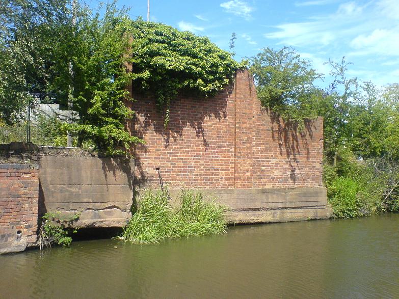 DSC05762.jpg