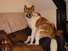 DSCN2608.jpg