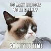 GrumpyCat.jpg