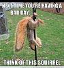 badday.jpg